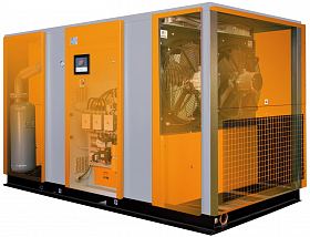 Винтовой компрессор Ekomak EKO 250 SCD VST 10 — фото 2